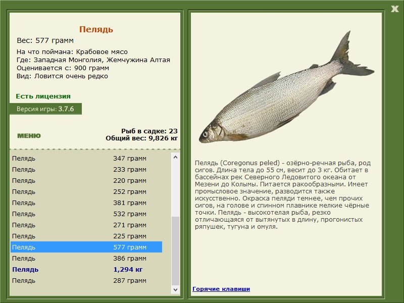 турниры • РУССКАЯ РЫБАЛКА