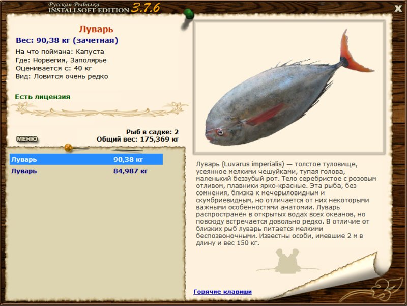 Заполярье 