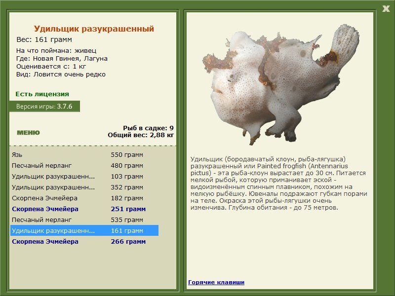 турниры • РУССКАЯ РЫБАЛКА