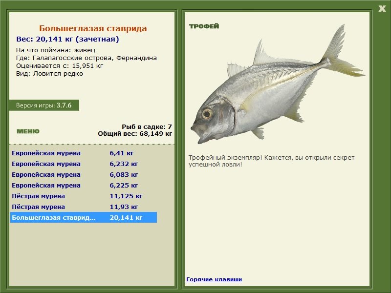 Фернандина 