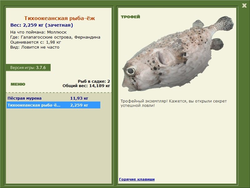 Фернандина 