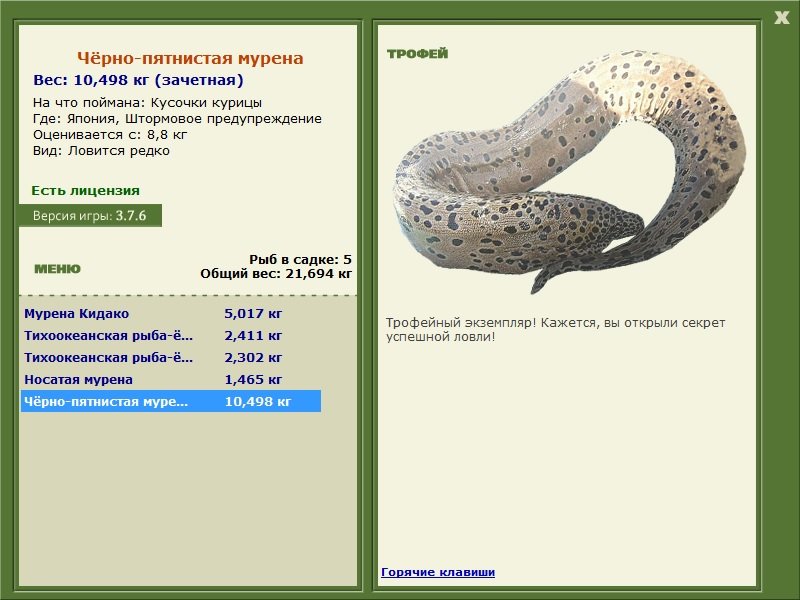 Штормовое предупреждение 