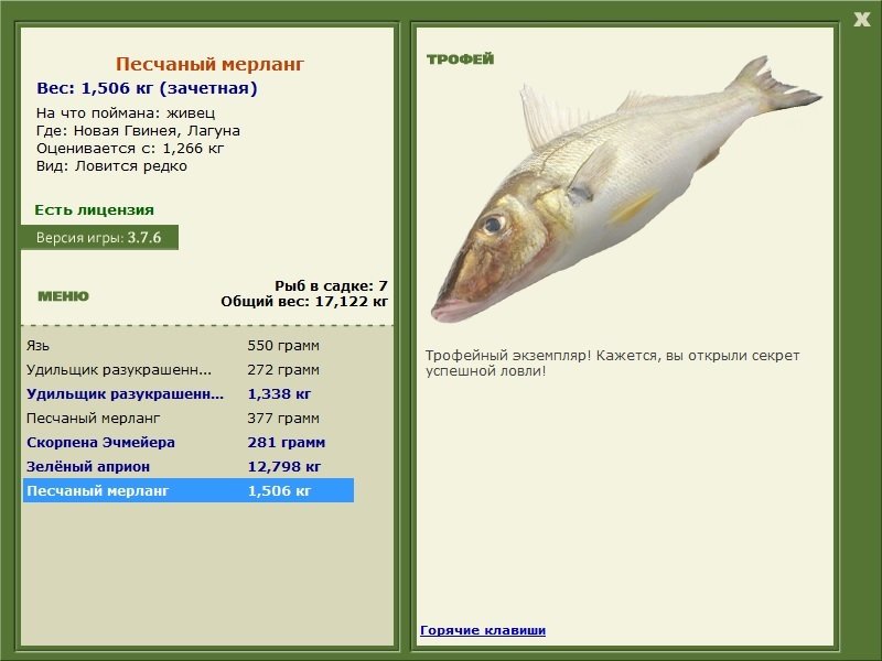Песчаный мерланг 