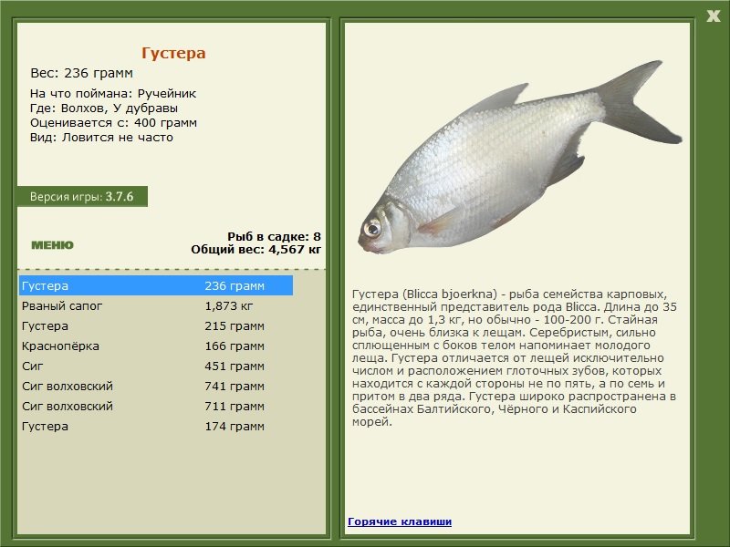 турниры • РУССКАЯ РЫБАЛКА