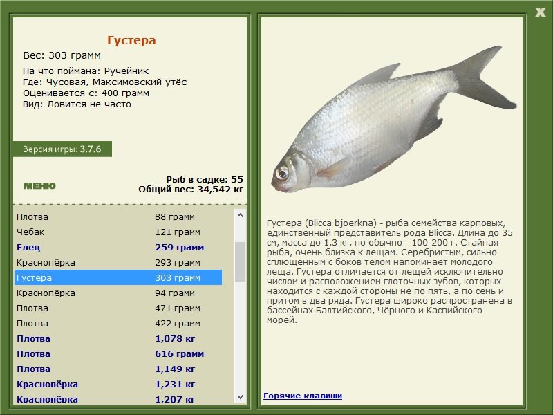 РУССКАЯ РЫБАЛКА Installsoft Edition 