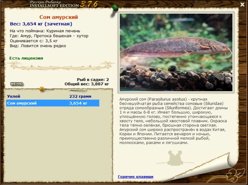 Амур 