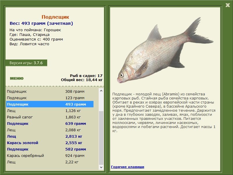 турниры • РУССКАЯ РЫБАЛКА