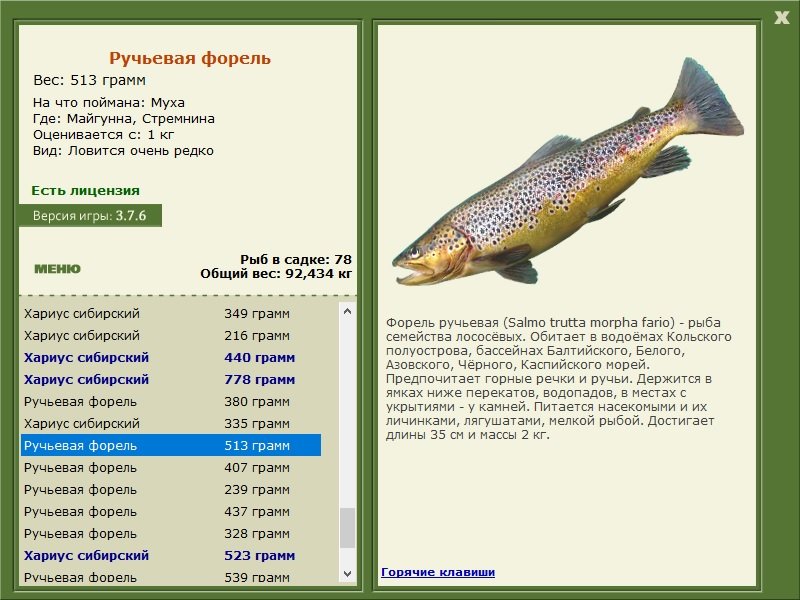 турниры • РУССКАЯ РЫБАЛКА