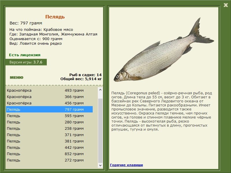 РУССКАЯ РЫБАЛКА Installsoft Edition 