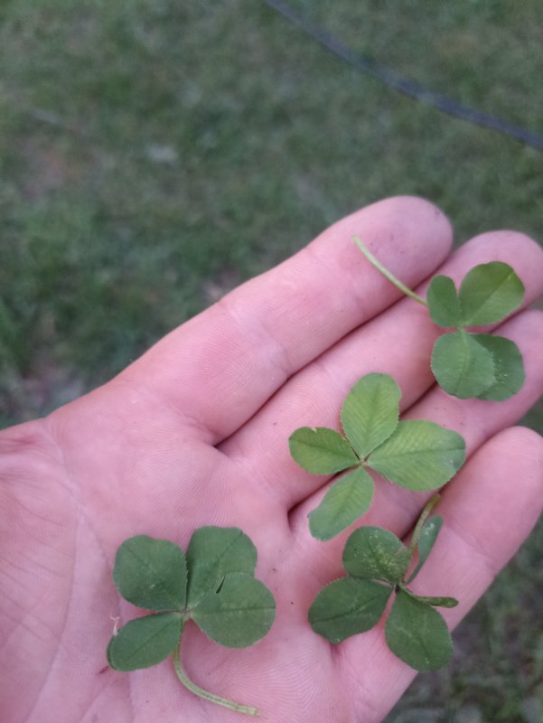  Страница 44 - Форум 