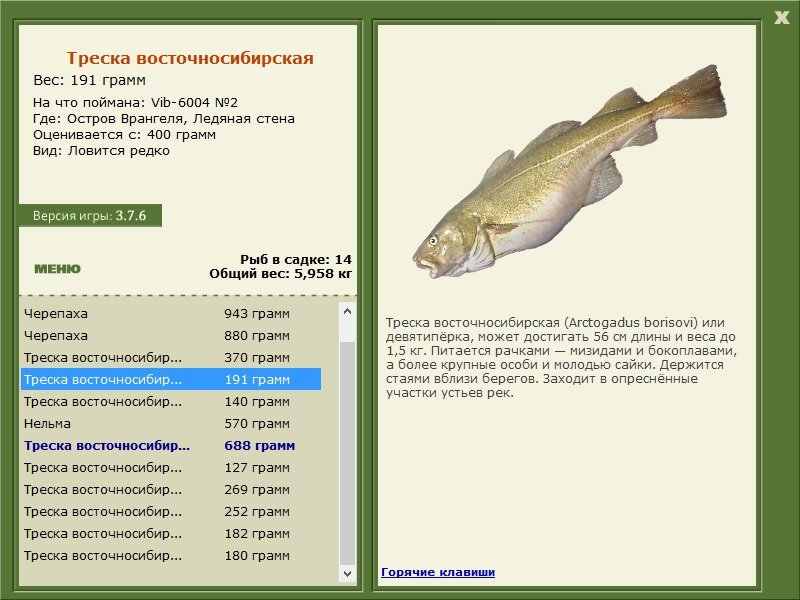 РУССКАЯ РЫБАЛКА Installsoft Edition 