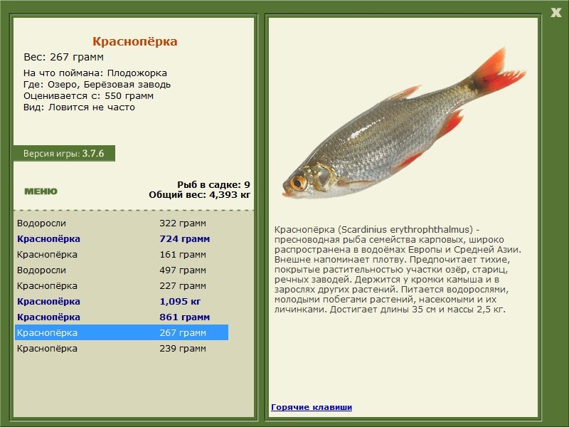 РУССКАЯ РЫБАЛКА Installsoft Edition 