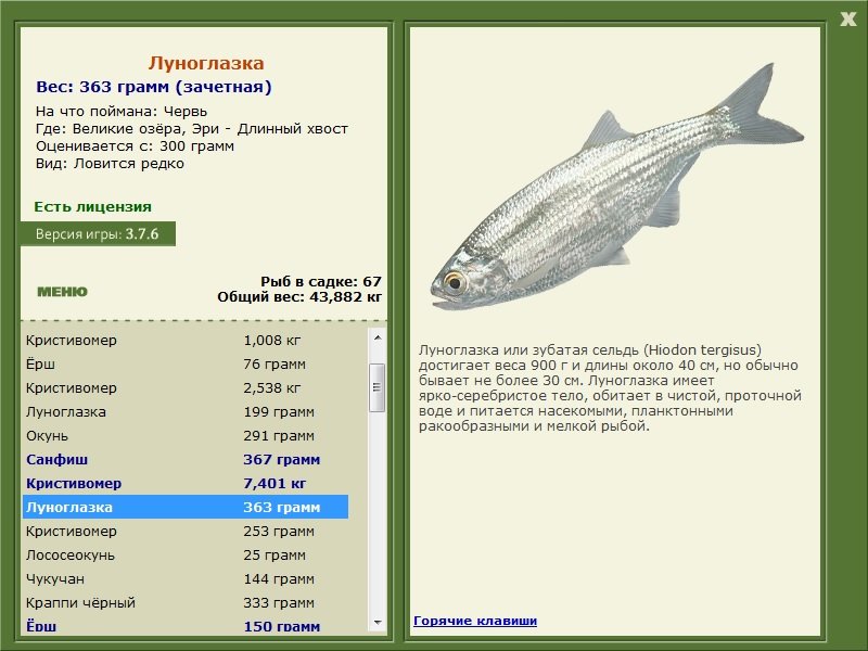 турниры • РУССКАЯ РЫБАЛКА