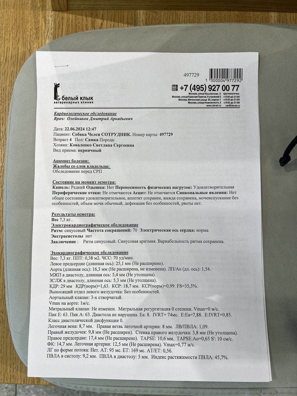 Изображение