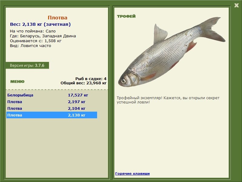 Западная Двина 