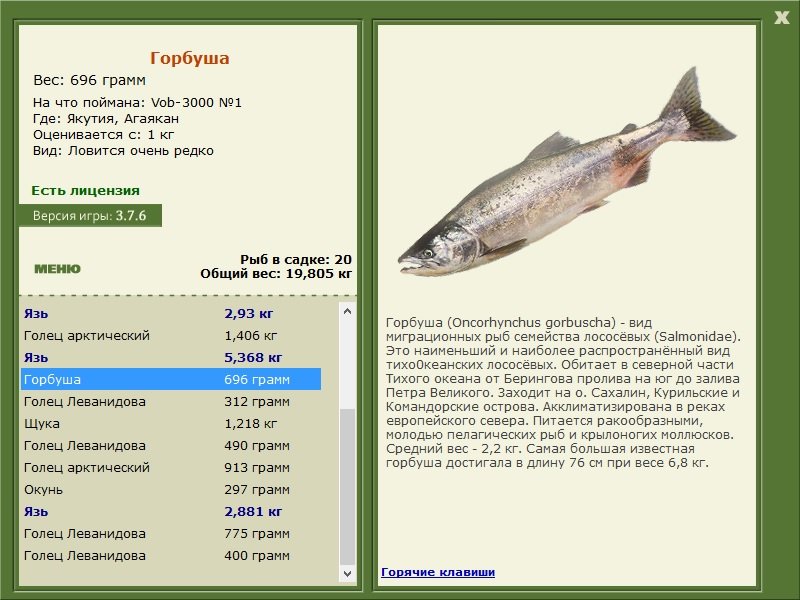 турниры • РУССКАЯ РЫБАЛКА