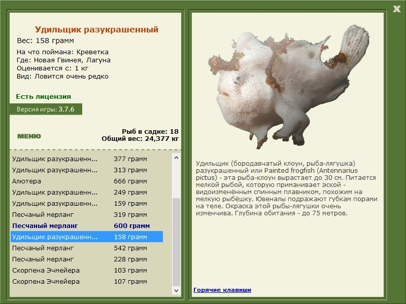 турниры • РУССКАЯ РЫБАЛКА