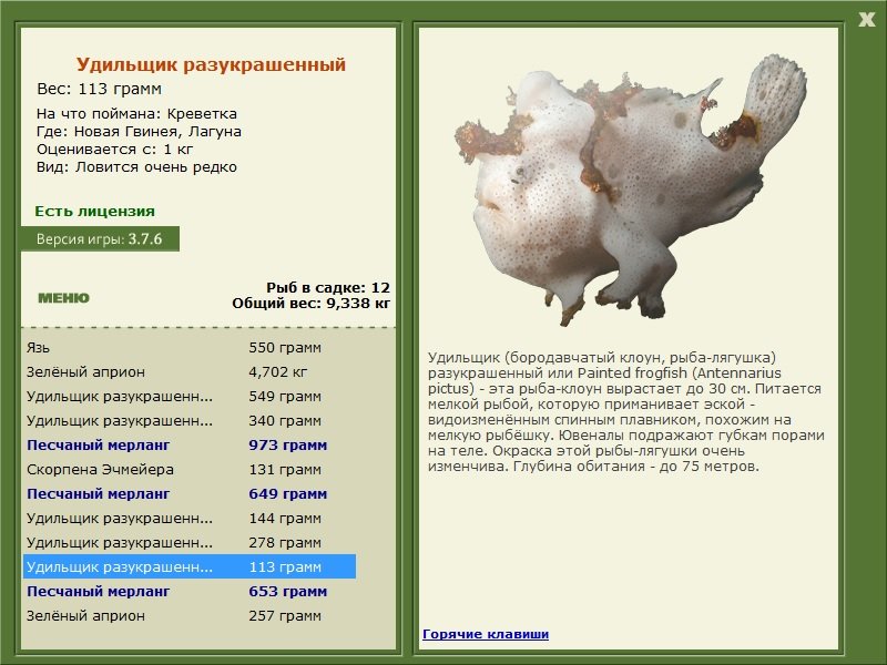 турниры • РУССКАЯ РЫБАЛКА