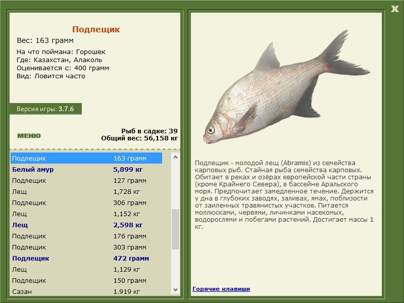 турниры • РУССКАЯ РЫБАЛКА