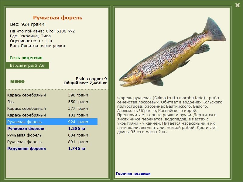 турниры • РУССКАЯ РЫБАЛКА