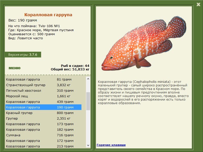 турниры • РУССКАЯ РЫБАЛКА
