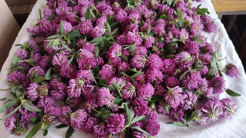  Страница 45 - Форум 