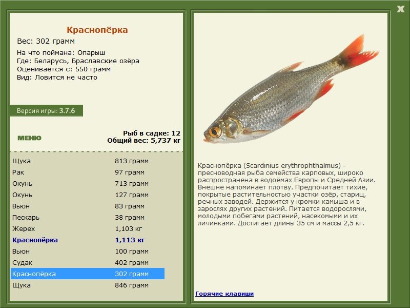 РУССКАЯ РЫБАЛКА Installsoft Edition 