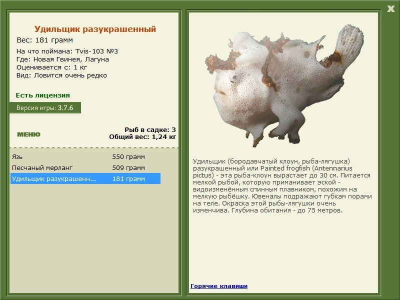 турниры • РУССКАЯ РЫБАЛКА