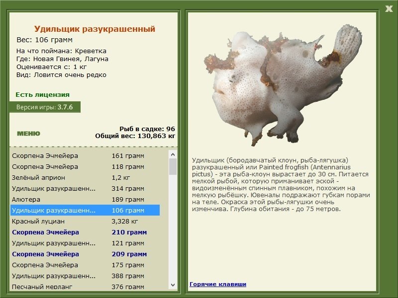 турниры • РУССКАЯ РЫБАЛКА