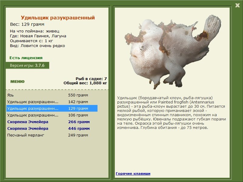турниры • РУССКАЯ РЫБАЛКА