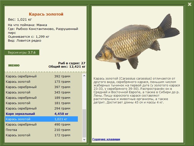 турниры • РУССКАЯ РЫБАЛКА