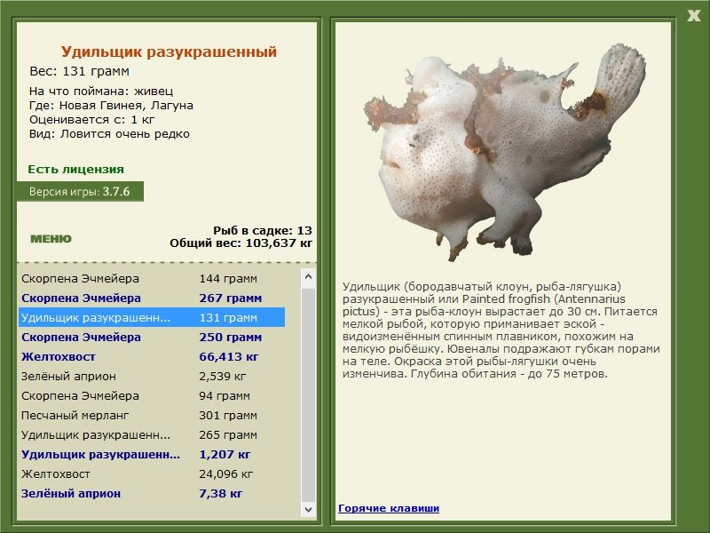 турниры • РУССКАЯ РЫБАЛКА