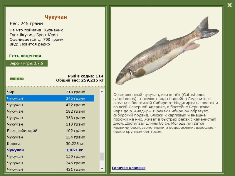 турниры • РУССКАЯ РЫБАЛКА