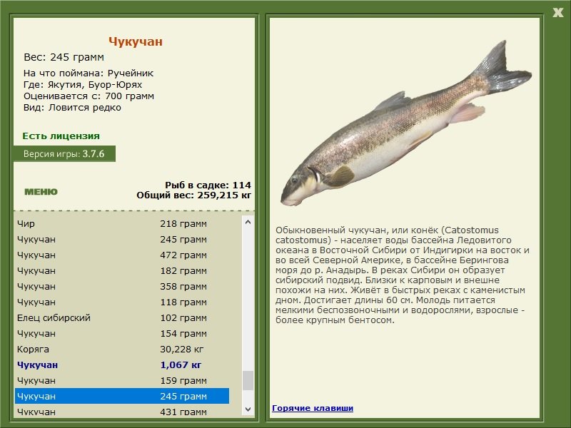 турниры • РУССКАЯ РЫБАЛКА