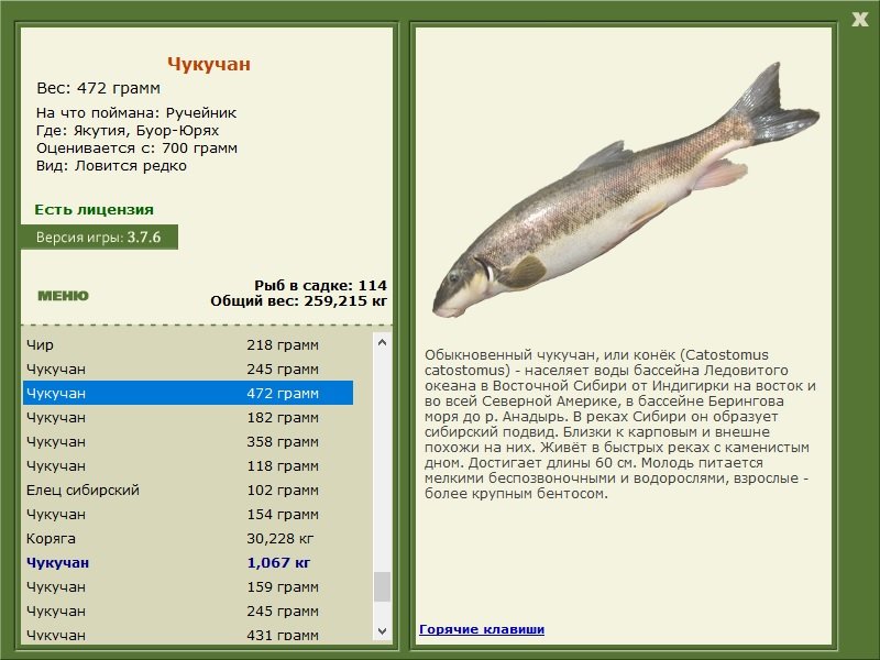 турниры • РУССКАЯ РЫБАЛКА