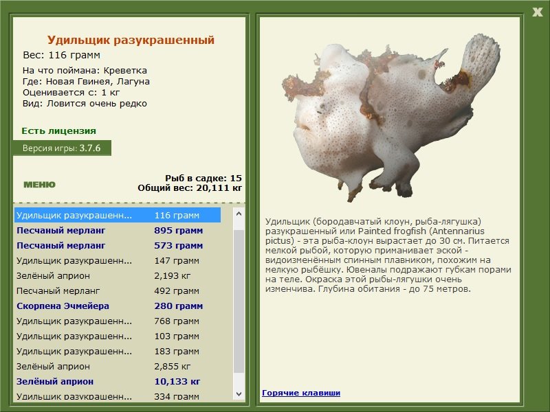турниры • РУССКАЯ РЫБАЛКА