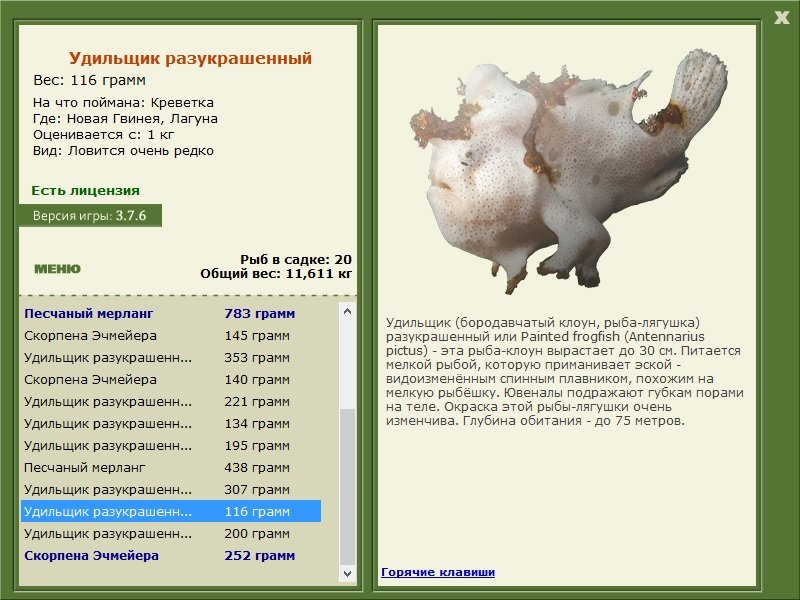 турниры • РУССКАЯ РЫБАЛКА