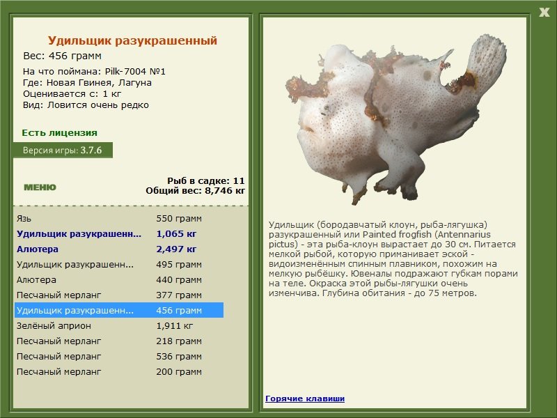 турниры • РУССКАЯ РЫБАЛКА