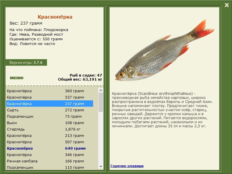 РУССКАЯ РЫБАЛКА Installsoft Edition 