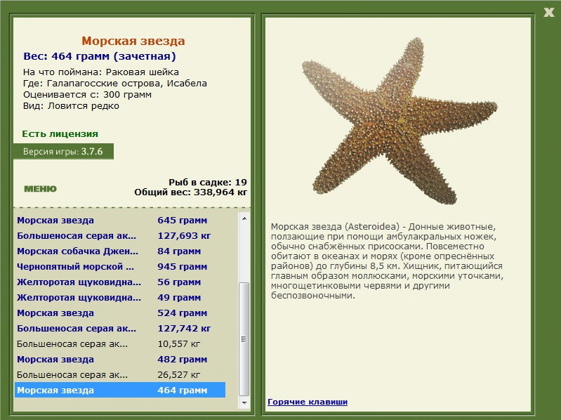 турниры • РУССКАЯ РЫБАЛКА