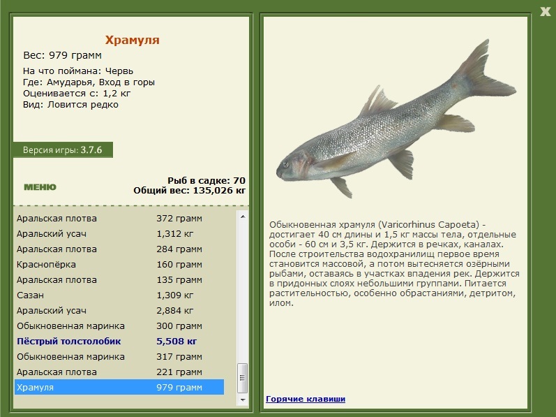 турниры • РУССКАЯ РЫБАЛКА