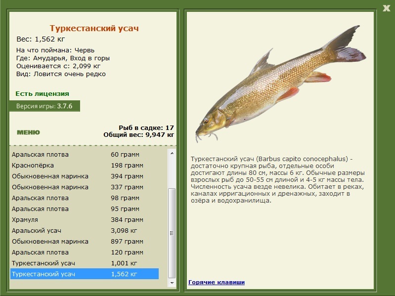 турниры • РУССКАЯ РЫБАЛКА