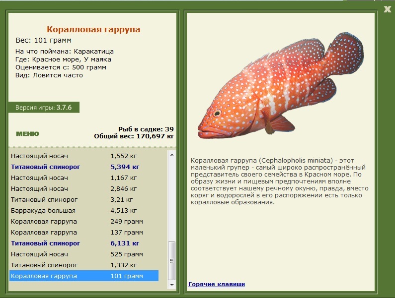 турниры • РУССКАЯ РЫБАЛКА