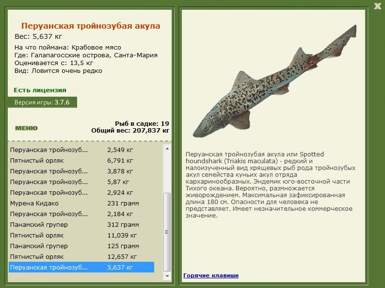 турниры • РУССКАЯ РЫБАЛКА