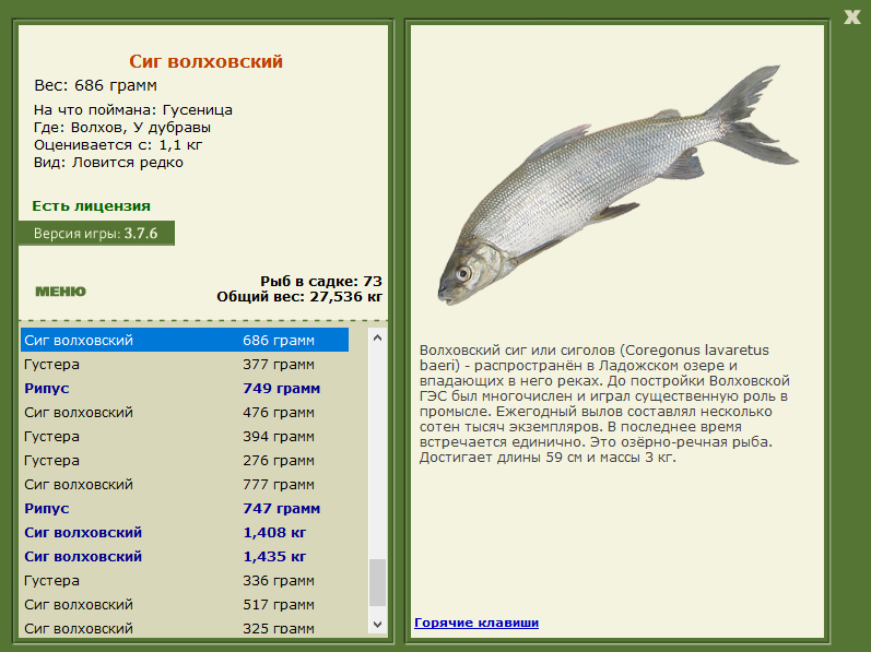 турниры • РУССКАЯ РЫБАЛКА