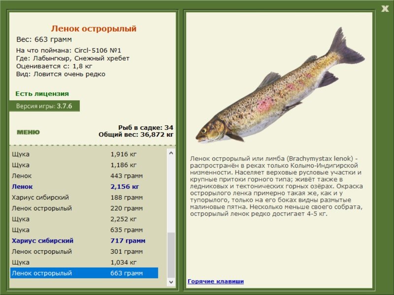 Снежный хребет 