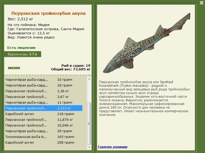турниры • РУССКАЯ РЫБАЛКА
