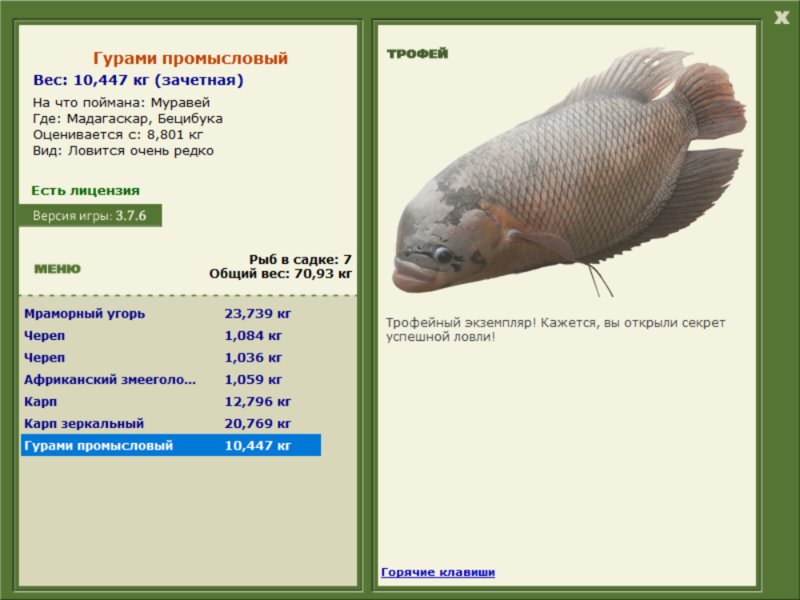 Бецибука 