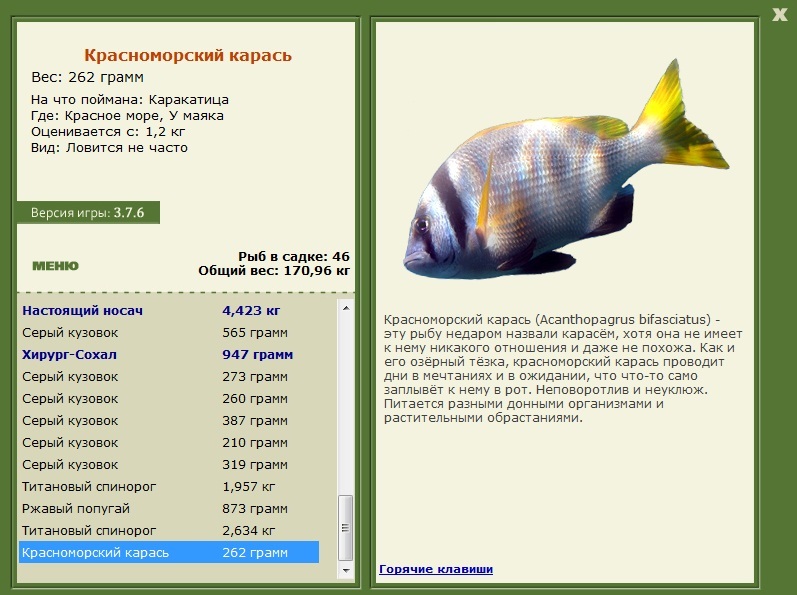 турниры • РУССКАЯ РЫБАЛКА