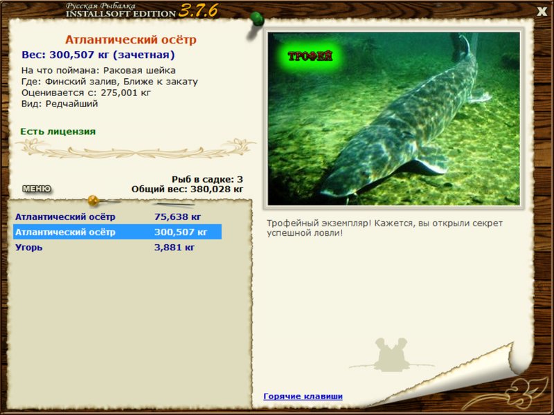 Ближе к закату 